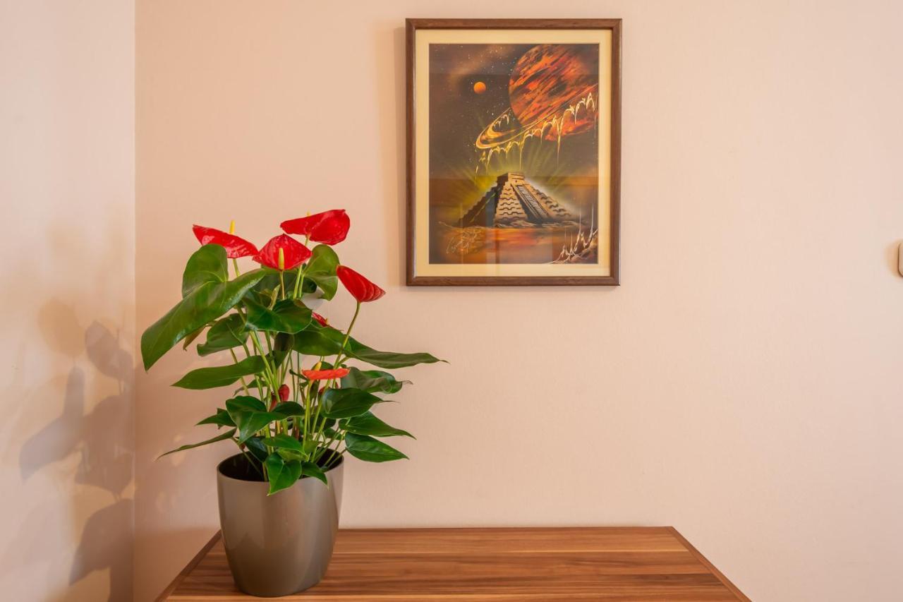 Santos 1214 Apartment 布达佩斯 外观 照片